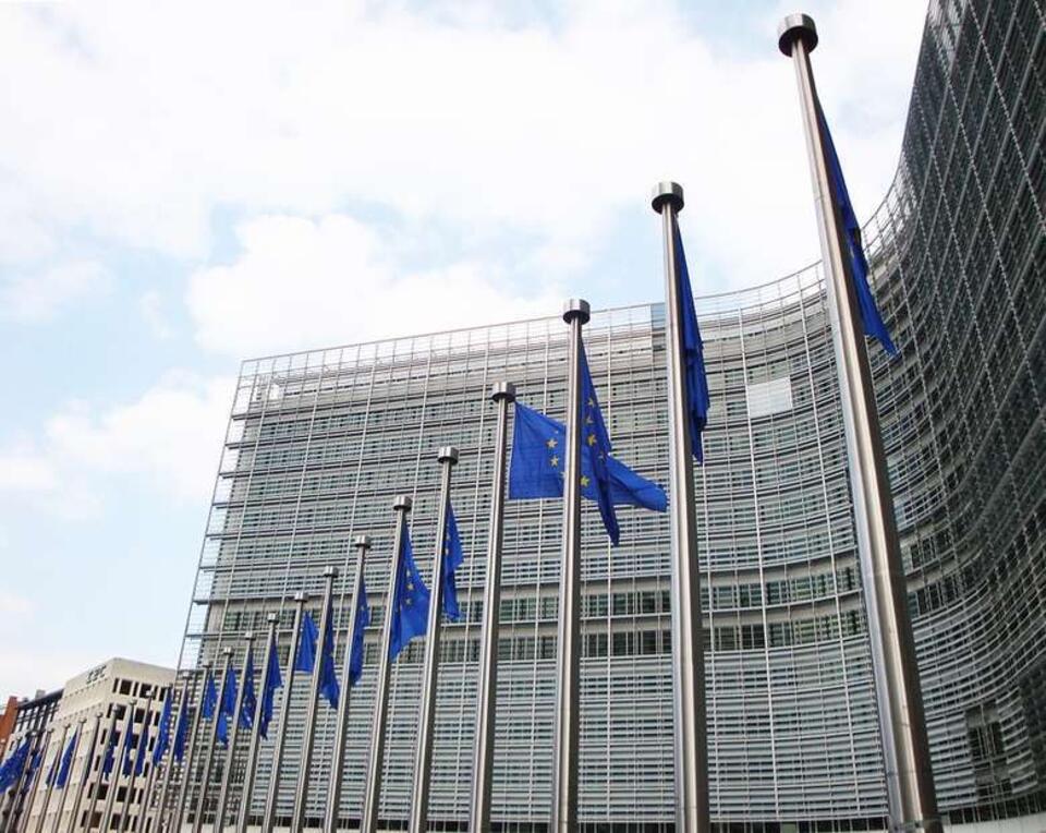 Flagi UE / autor: pixabay