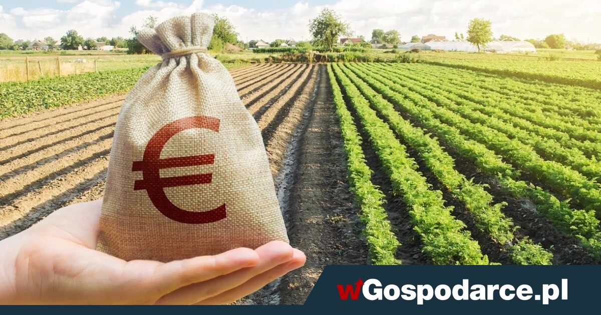Już blisko 16 mld zł na kontach rolników