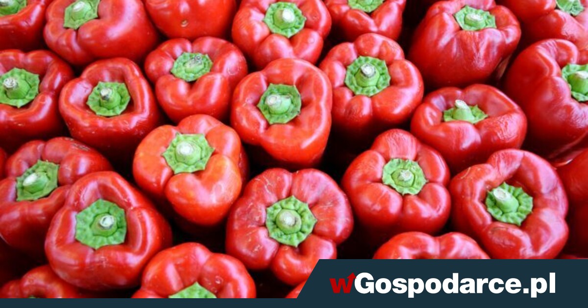 Rekordowy import… papryki!