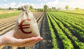 Już blisko 16 mld zł na kontach rolników