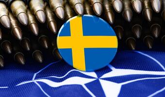 Jaki wkład Szwecji do NATO? To największa flota na Bałtyku