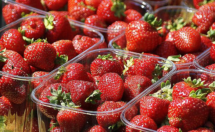Hiszpanie potrzebują aż 150 tys. pracowników sezonowych do zbioru owoców i warzyw / autor: Pixabay