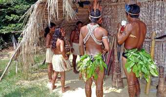 Szamani z Amazonii stworzyli Encyklopedię Medycyny Ludowej