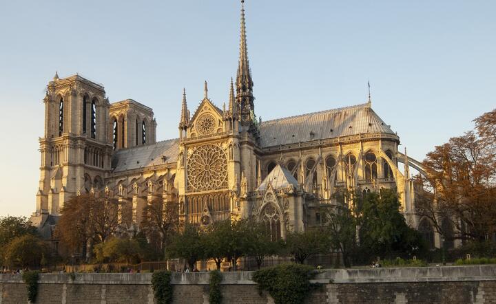 Katedra Notre Dame / autor: pixabay.com