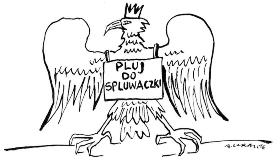 rys. A. Krauze