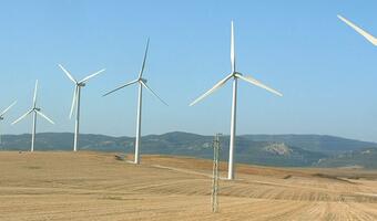 Chiński fundusz zainwestuje w polską farmę wiatrową