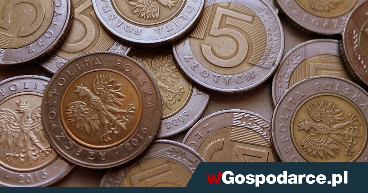Złoty obrywa po raz drugi