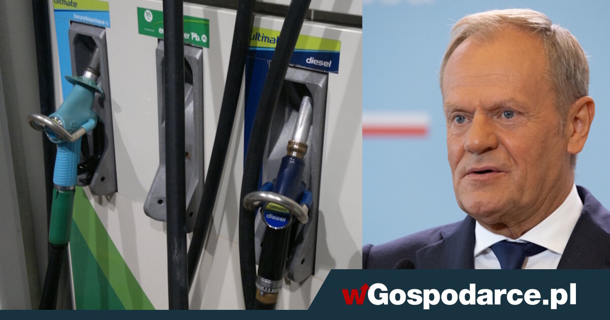 Kolejki Niemców na polskich stacjach benzynowych. Tusk: "Nie widać"