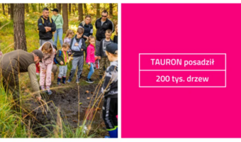 Młody las. TAURON posadził 200 tysięcy drzew
