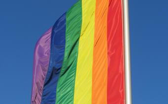 USA: Mistrz cukierniczy kontra geje