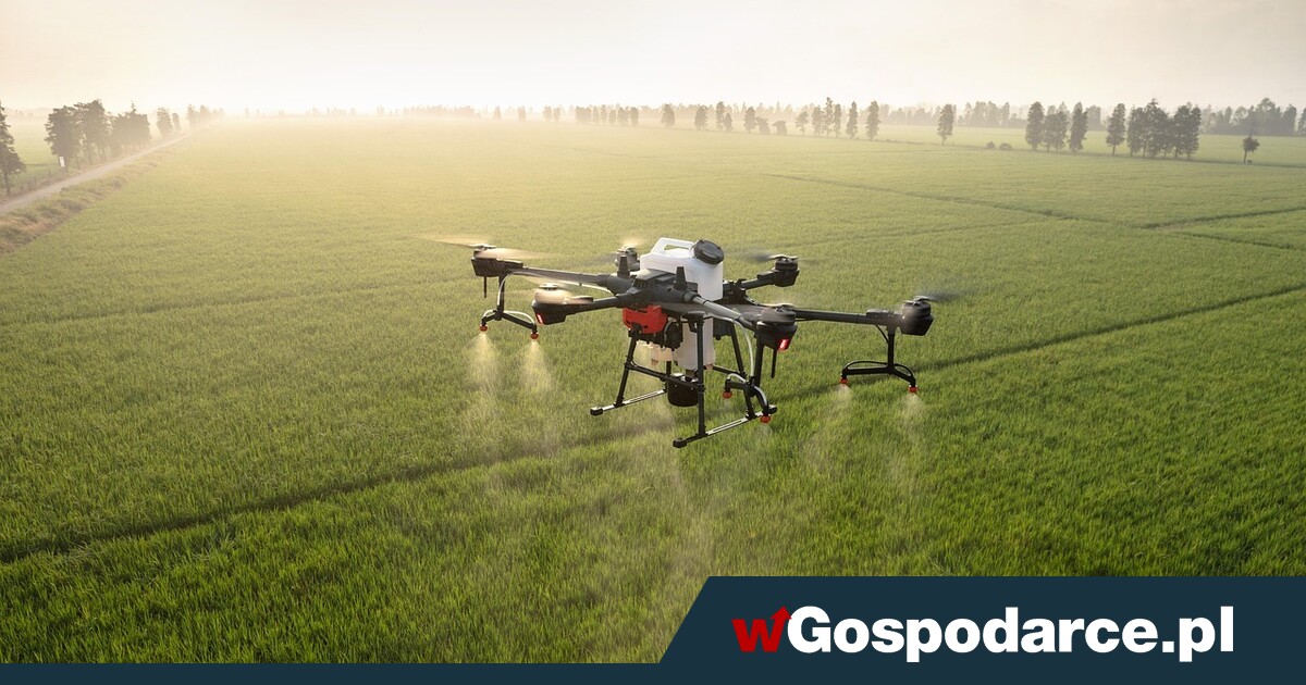 Czy rolnicy dostaną prawo do użycia agrodronów?