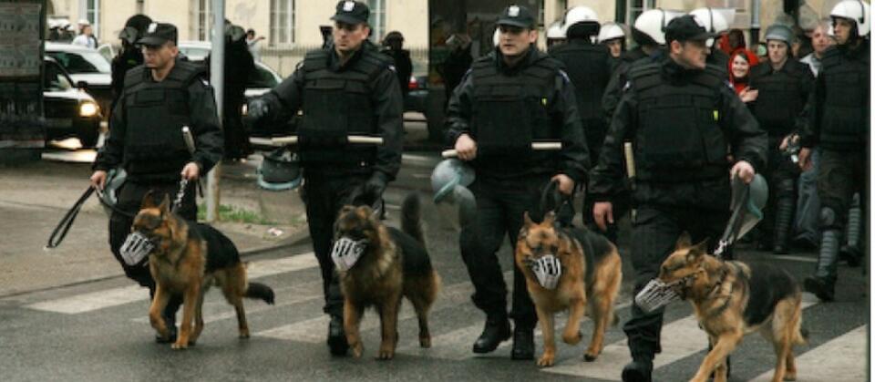 fot. Funkcjonariusze policji w czasie działań operacyjnych. (fot.:flickr.com/CC)