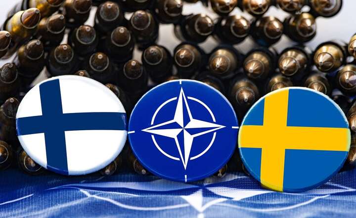 Finlandia i Szwecja przystąpiły do NATO w ciągu ostatniego roku, tworząc silną północną flankę / autor: Pixabay