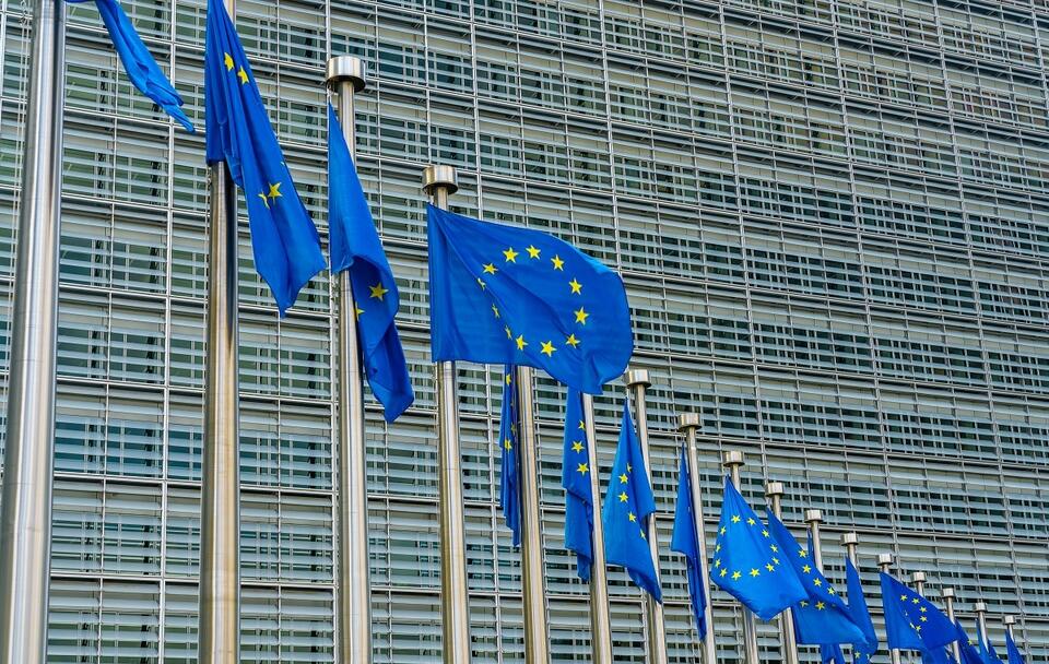 Flagi Unii Europejskiej - zdj. ilustracyjne / autor: Fratria