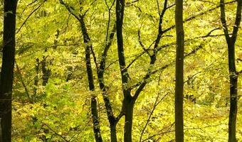 Program Natura 2000 obejmie jeszcze więcej obszarów