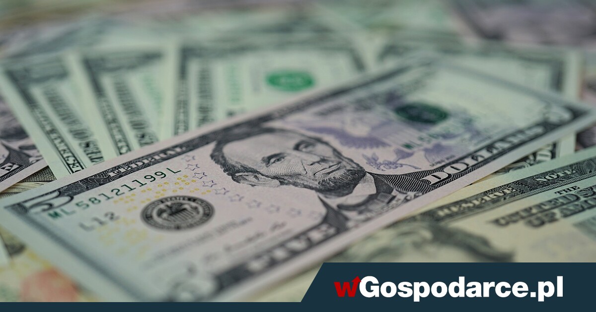 NVIDIA nie zachwyca, GPW też nie