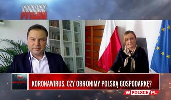 WIDEO Czy obronimy polską gospodarkę?