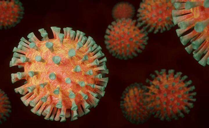 Koronawirusy, pandemia. / autor: Pixabay