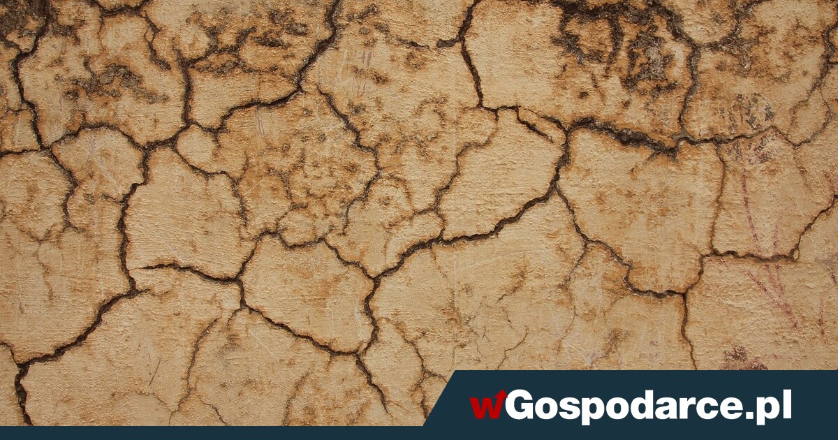 Woda, czyli sprawa strategiczna