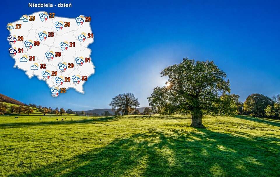 IMGW ostrzega przed burzami i upałem w prawie całej Polsce. Wydano ostrzeżenia I i II stopnia / autor: Pixabay/TimHill/IMGW