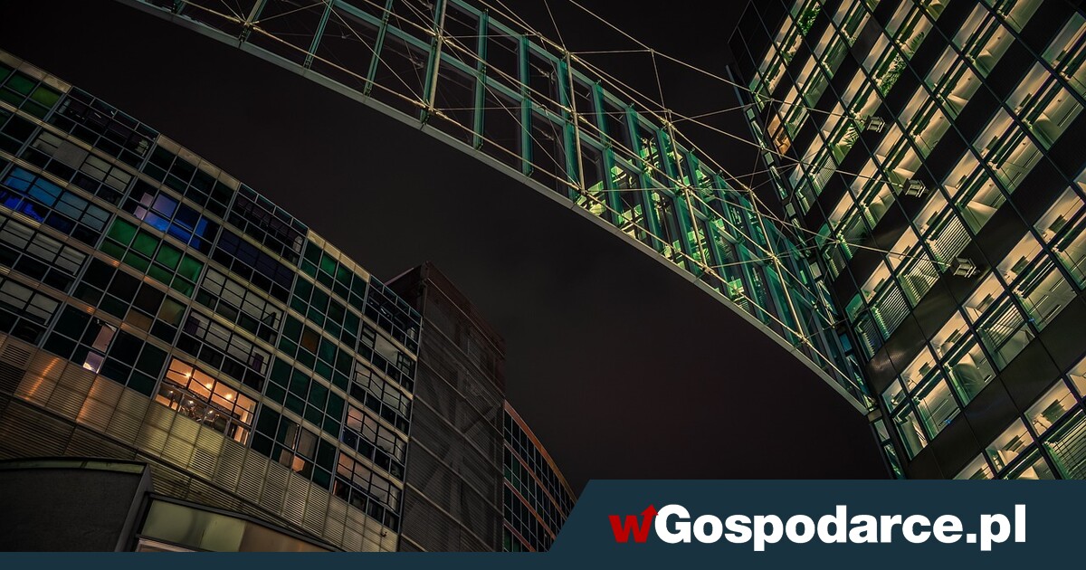 W tej branży czekają miliony! Zobacz jak zarobić