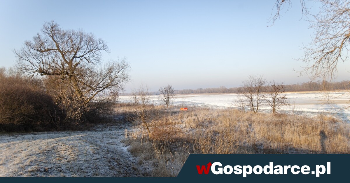 Wisła zamarzła w Toruniu. Co z zagrożeniem powodzią?