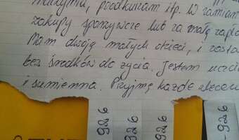 Zamiast słów: "Podejmę pracę za jedzenie". ZDJĘCIE