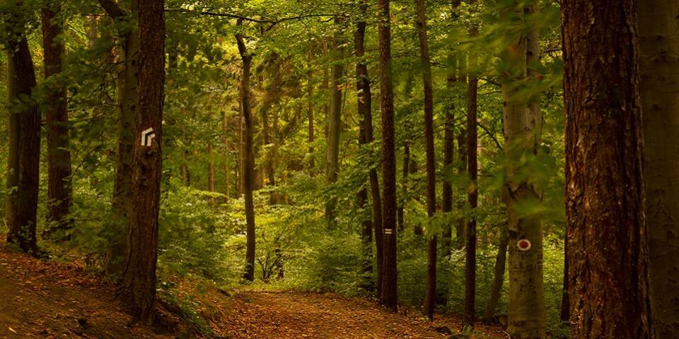 Fot.freeimages.com