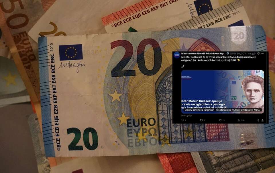 20 euro - zdj. ilustracyjne / autor: Fratria/X: @MNiSW_GOV__PL