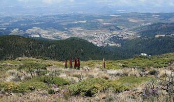 Hiszpania B się wyludnia. Powodem jest brak pracy na prowincji