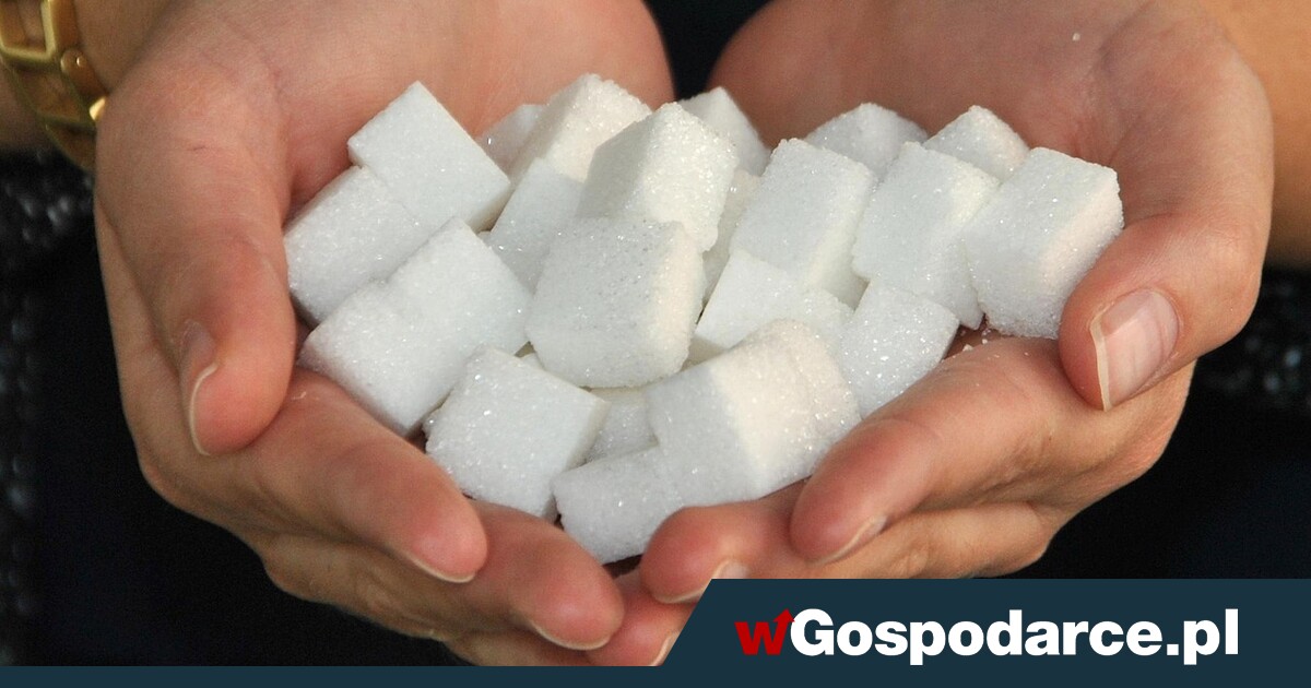 Cukier cukrowi nierówny