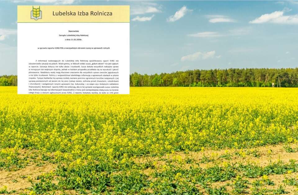 Pole rzepaku oraz stanowisko zarządu LIR  / autor: Fratria/Lubelska Izba Rolnicza