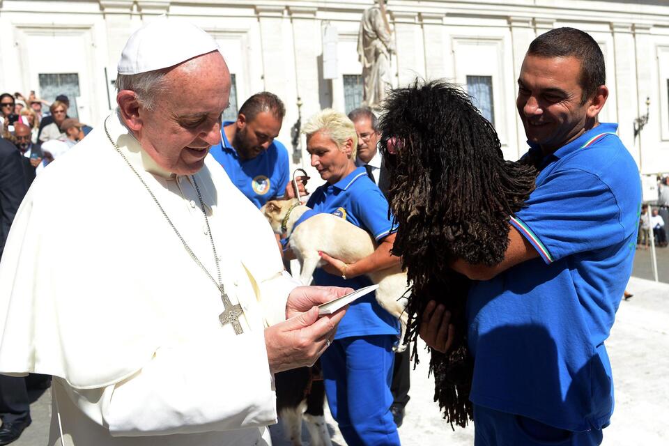 Papież podczas spotkania z włoskimi miłośnikami psów, PAP/EPA