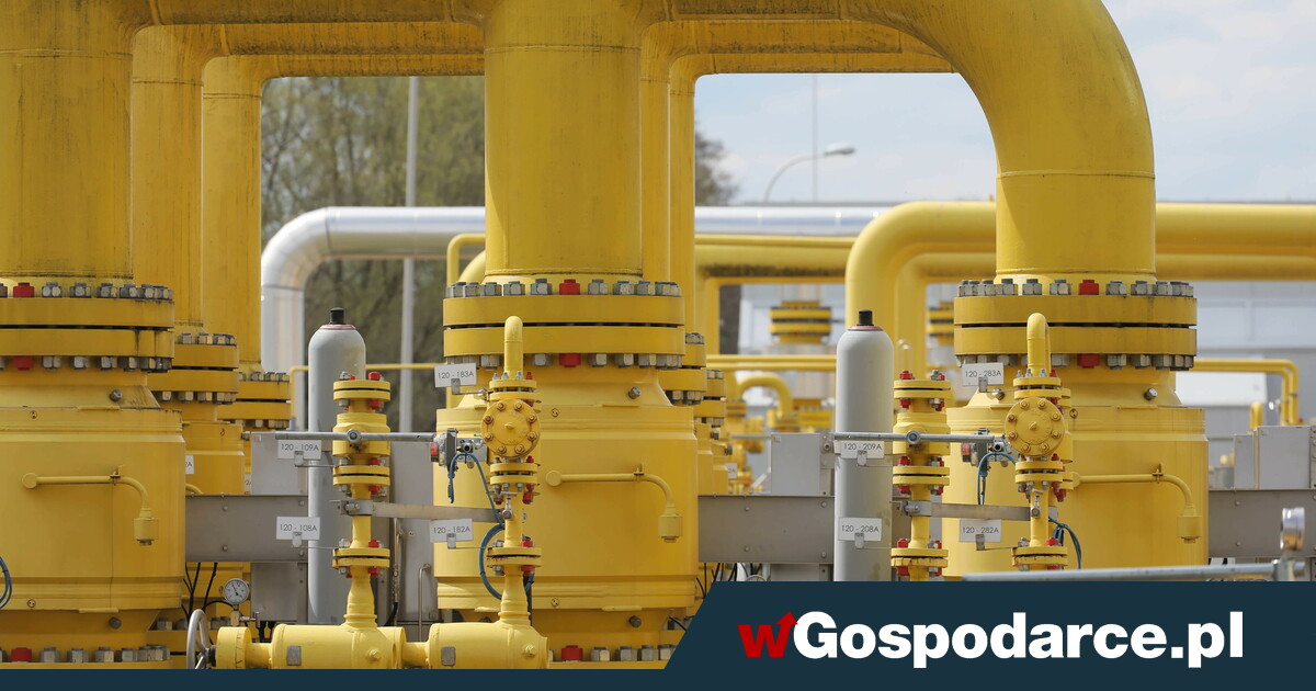 Salek: Polsko by mohlo být distribučním uzlem plynu v Evropě