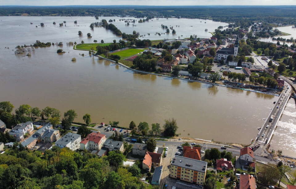 autor: PAP/Lech Muszyński 