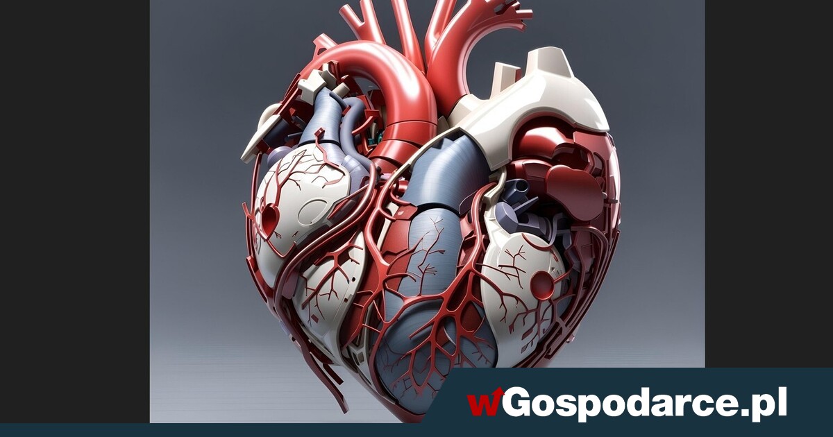Jak działa serce?