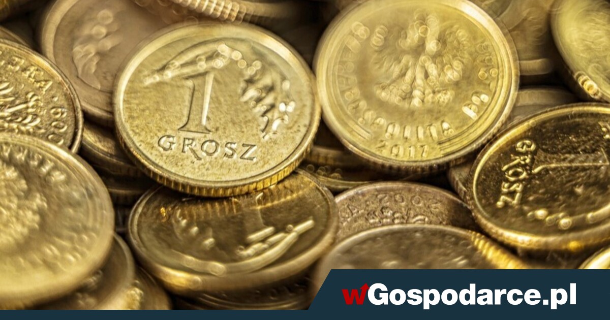 Wycofanie monet groszowych: wygoda czy pułapka?