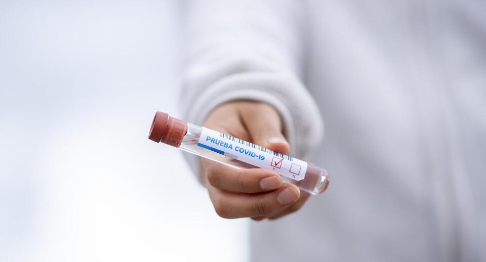 Zdjęcie ilustracyjne  / autor: pixabay.com