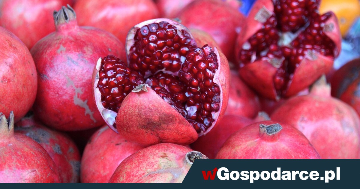 Granat - z wyglądu jak cukierki, a to bomba odżywcza