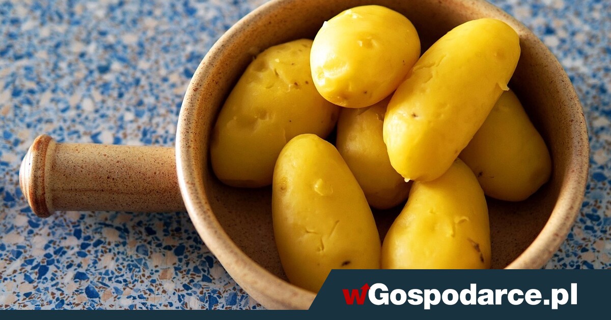 Jasna strona węglowodanów – czy jest się czego bać?