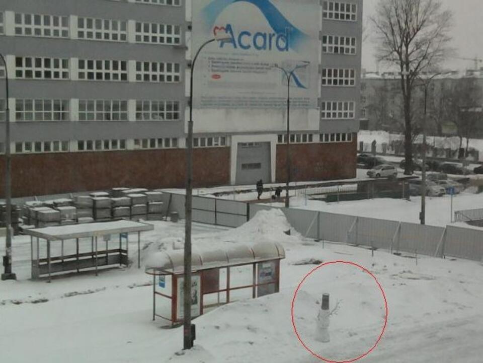 Na zamkniętej dla ruchu ul. Świętokrzyskiej przez wiele miesięcy nie działo się nic. 