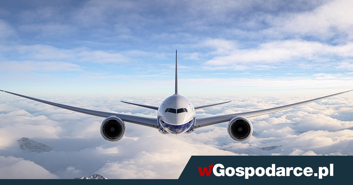 Pierwszy samolot z wołowiną z Mercosur wylądował w Europie