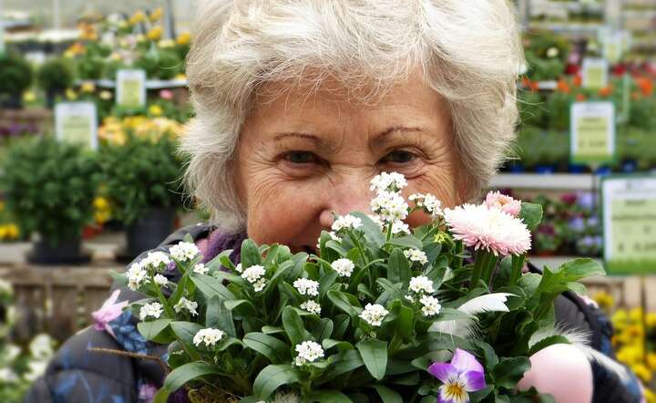 Zadłużenie osób, które są na emeryturze, sukcesywnie spada / autor: Pixabay