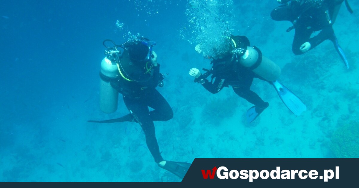 Szampan dla cara. Skarb na dnie Bałtyku