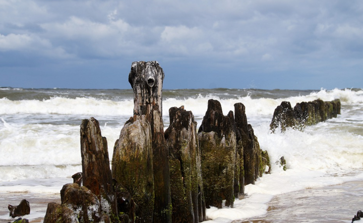 Wybrzeże Bałtyku - zdjęcie ilustracyjne.  / autor: Pixabay