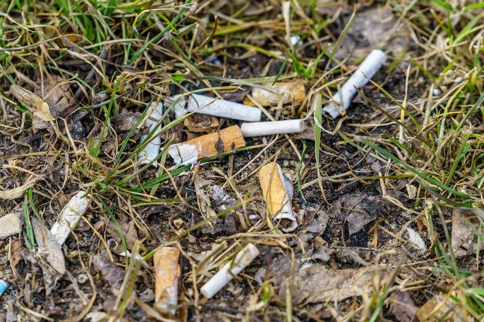 Polak zapalił papierosa w parku narodowym. Zapłaci 60 tys. zł!