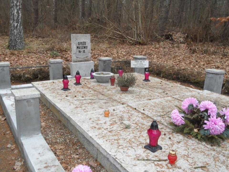 Masowy grób ofiar  / autor: screen wikipedia