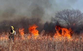 Ogień trawi lasy na granicy Bułgarii z Grecją; płonie poligon