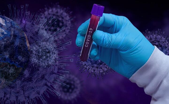 Szczepionka na Covid-19 raczej nie powstanie w ciągu najbliższego roku  / autor: Pixabay