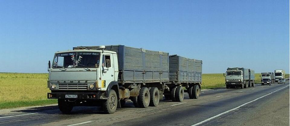 Fot. Wikimedia Commons